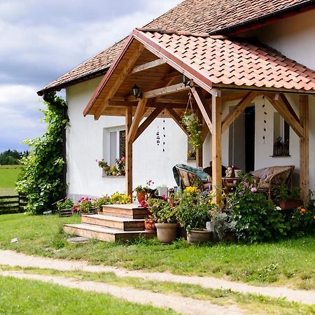 Zakatek Szczescia Eko Agroturystyka Kiwity エクステリア 写真