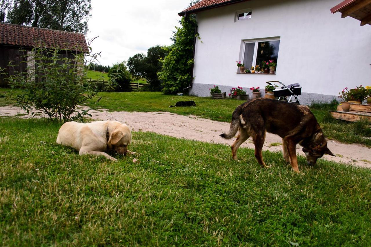 Zakatek Szczescia Eko Agroturystyka Kiwity エクステリア 写真