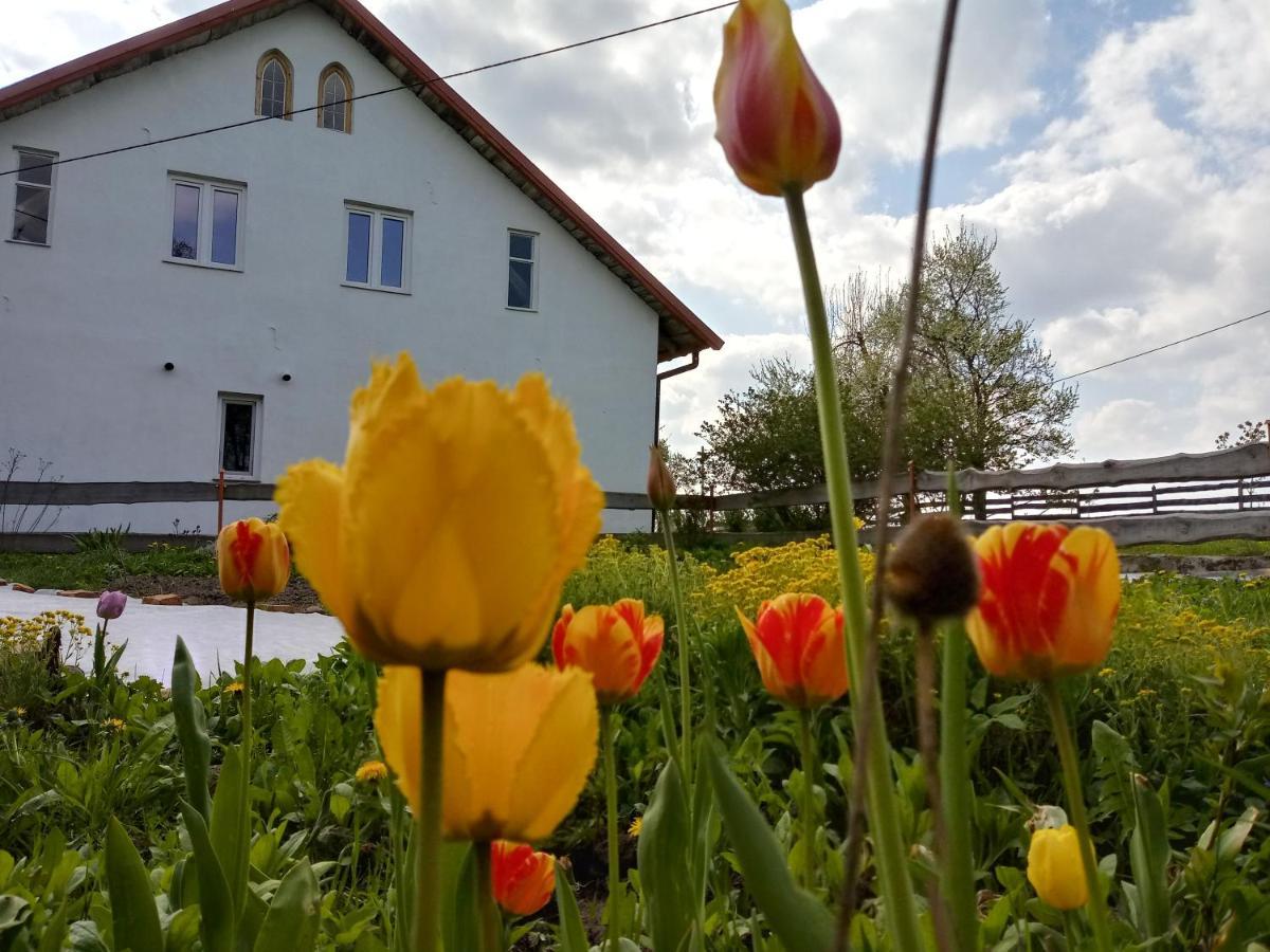 Zakatek Szczescia Eko Agroturystyka Kiwity エクステリア 写真