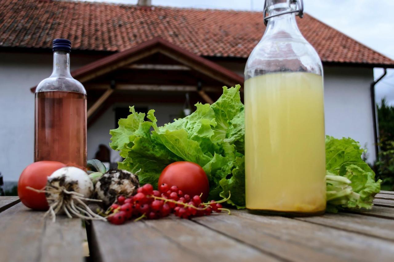 Zakatek Szczescia Eko Agroturystyka Kiwity エクステリア 写真