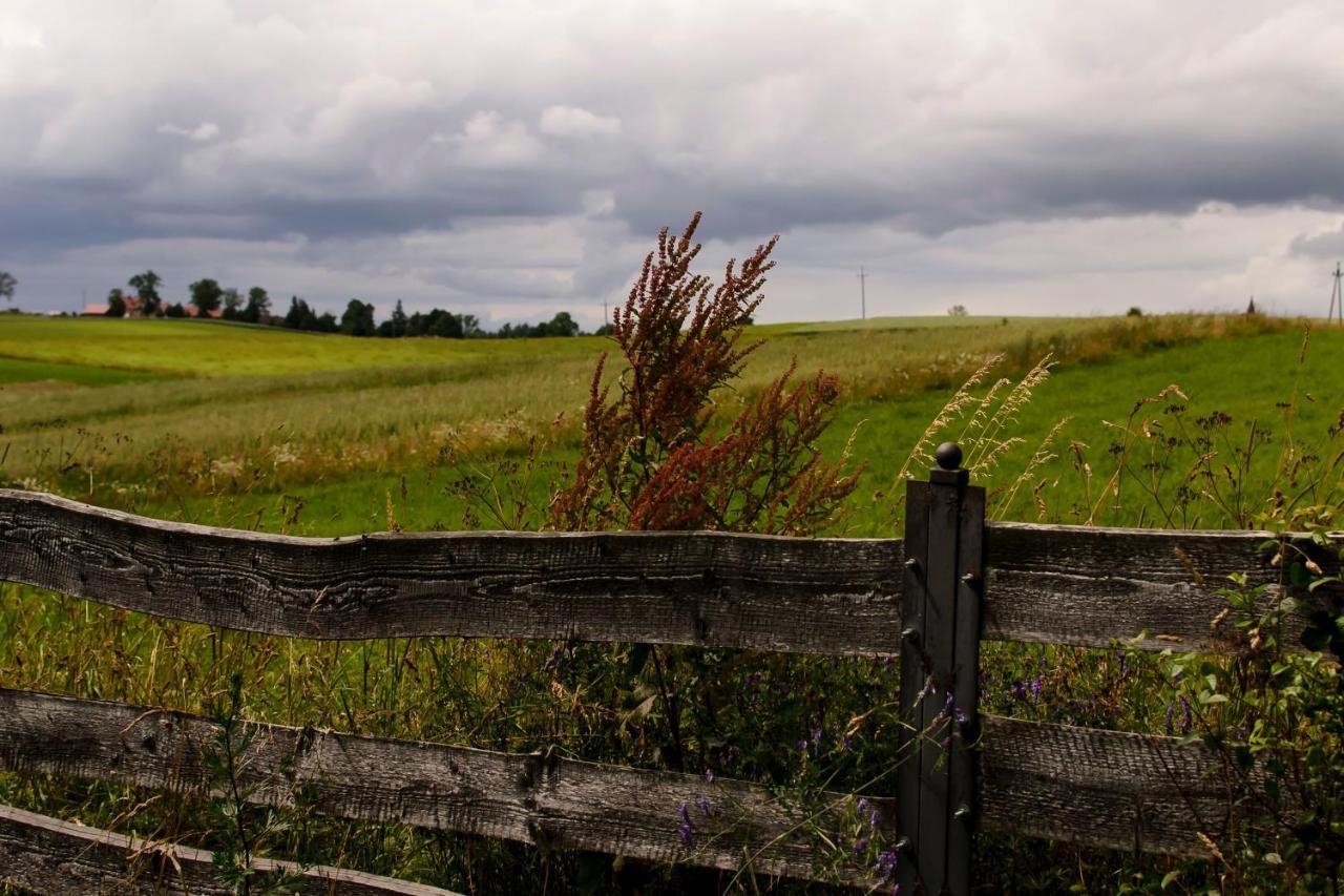 Zakatek Szczescia Eko Agroturystyka Kiwity エクステリア 写真