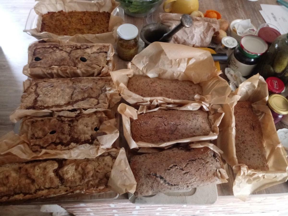 Zakatek Szczescia Eko Agroturystyka Kiwity エクステリア 写真