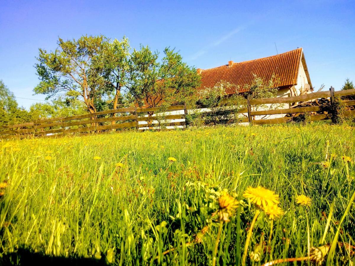 Zakatek Szczescia Eko Agroturystyka Kiwity エクステリア 写真